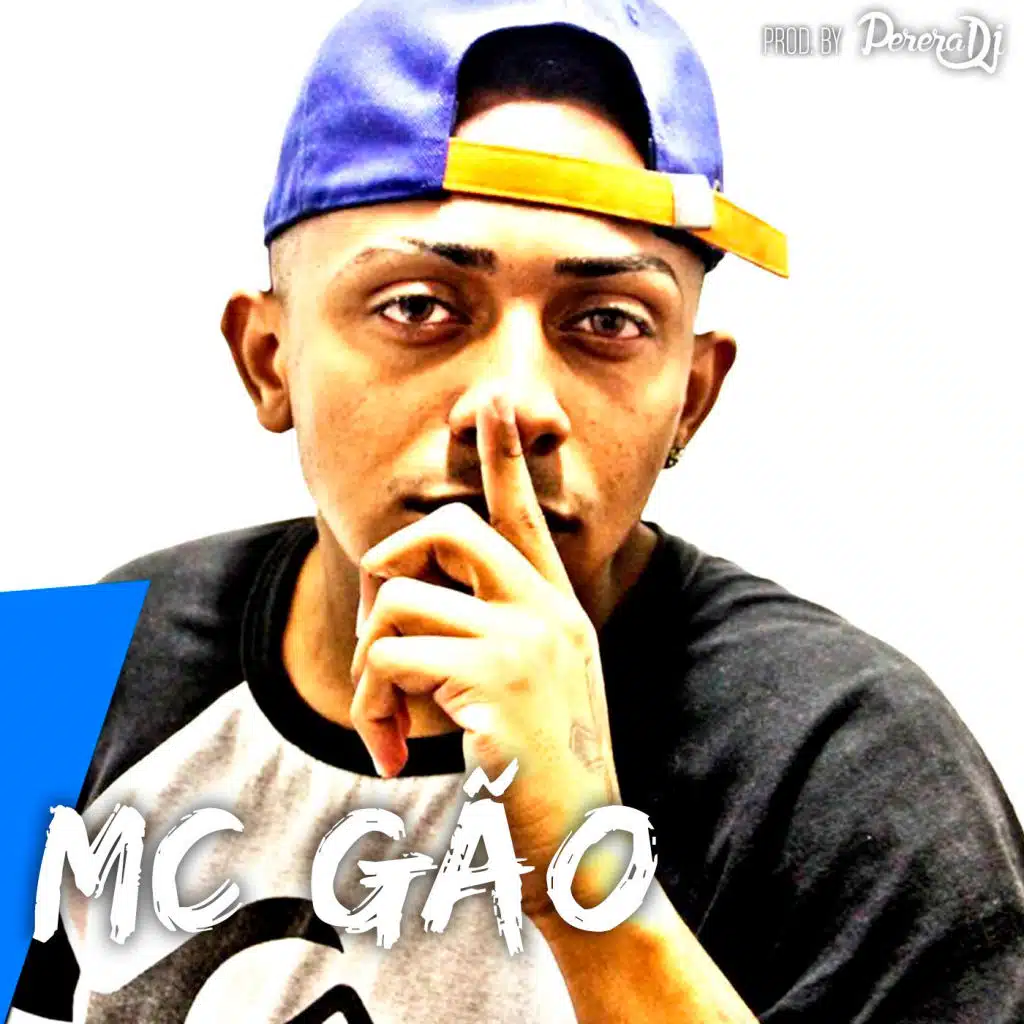 Mc Gão (feat. Perera DJ)