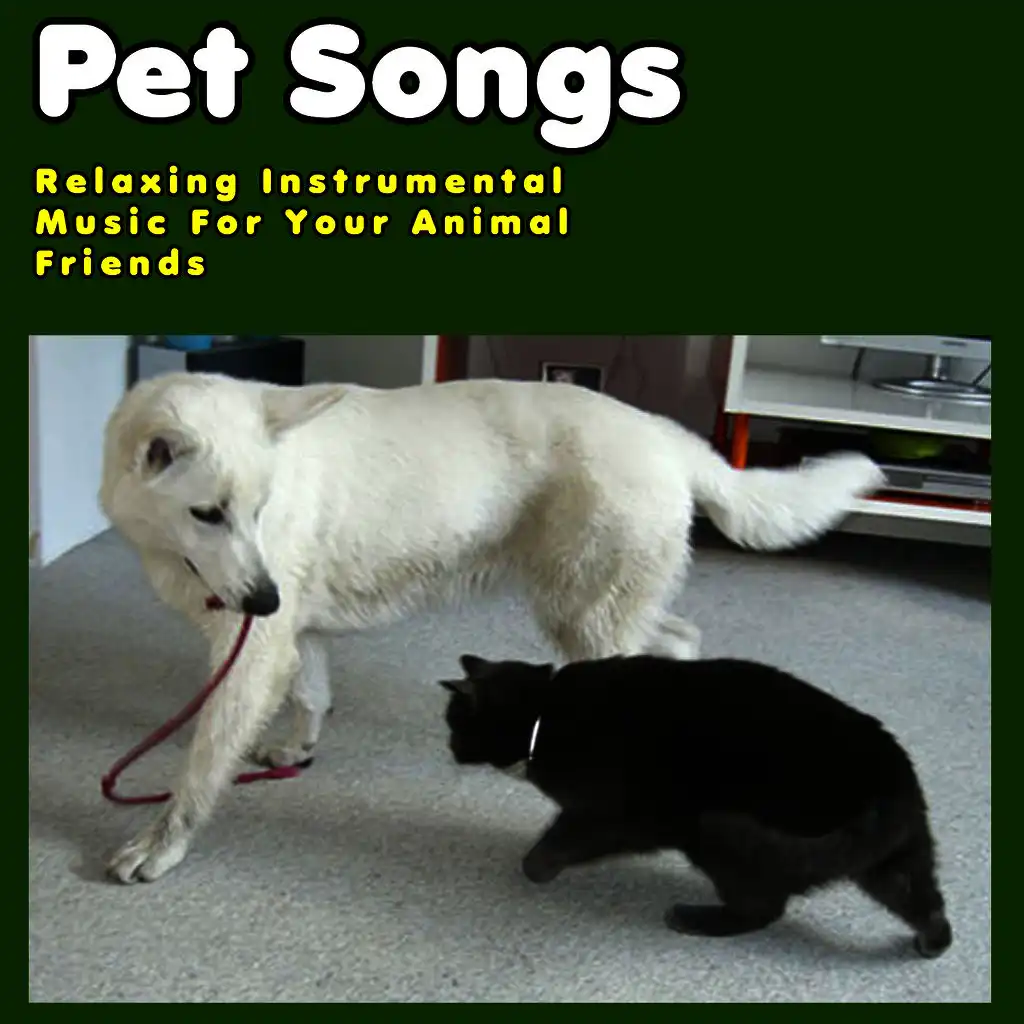 Music for Cats