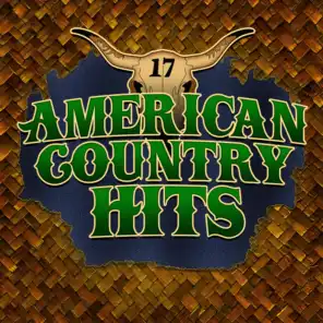 Today's Top Country Hits, Vol. 17