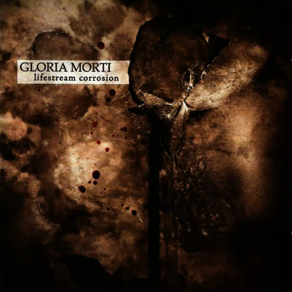 The Suffering of the Lambs