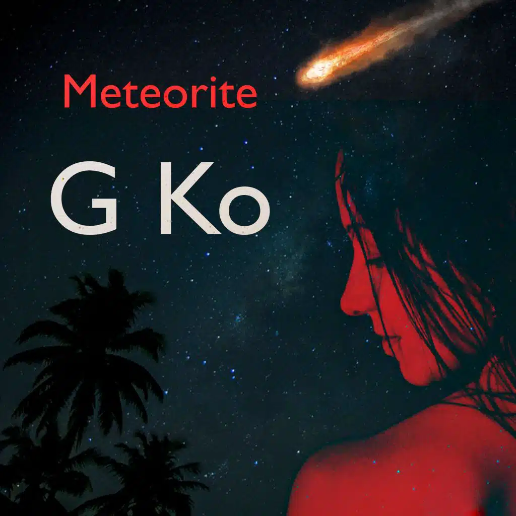 Meteorite