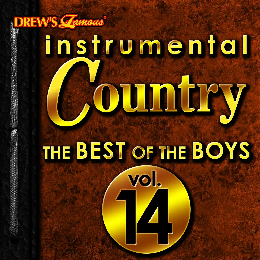 Instrumental Country: The Best of the Boys, Vol. 14