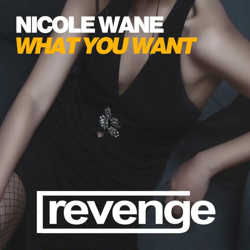 What You Want (Rebuild Mix)