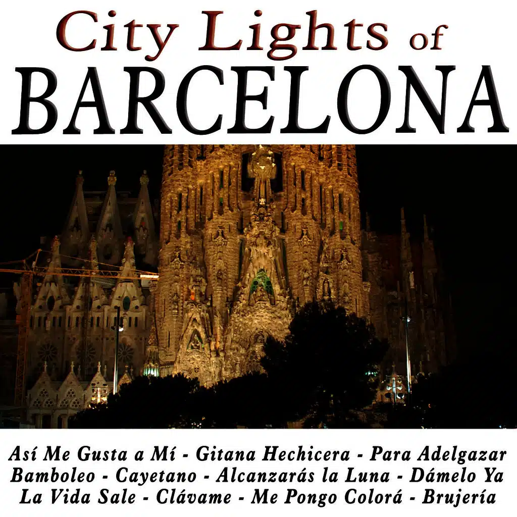City Lights of Barcelona