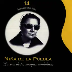 Tinieblas (Milonga) [feat. Luis Yance]