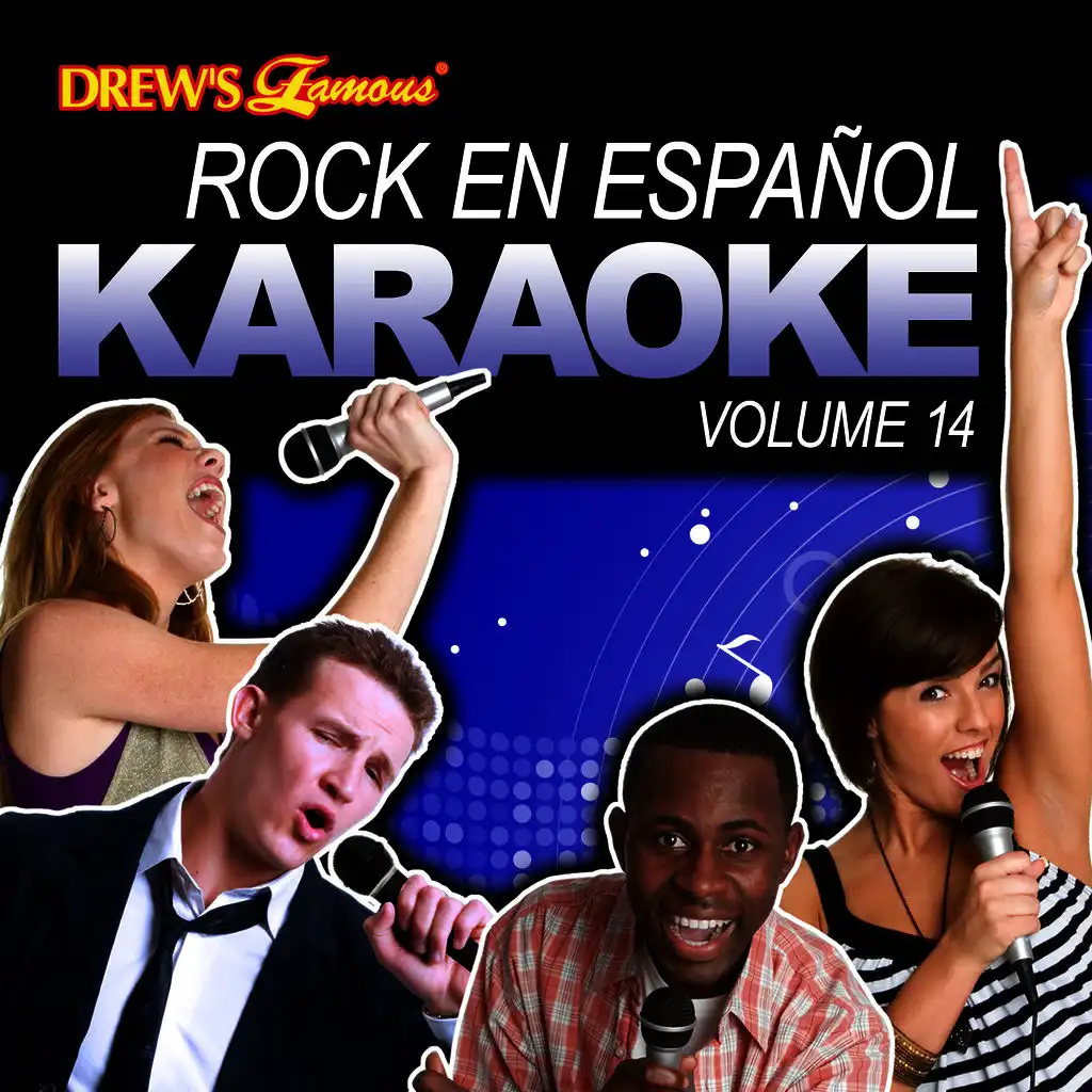 Rock En Español Karaoke, Vol. 14