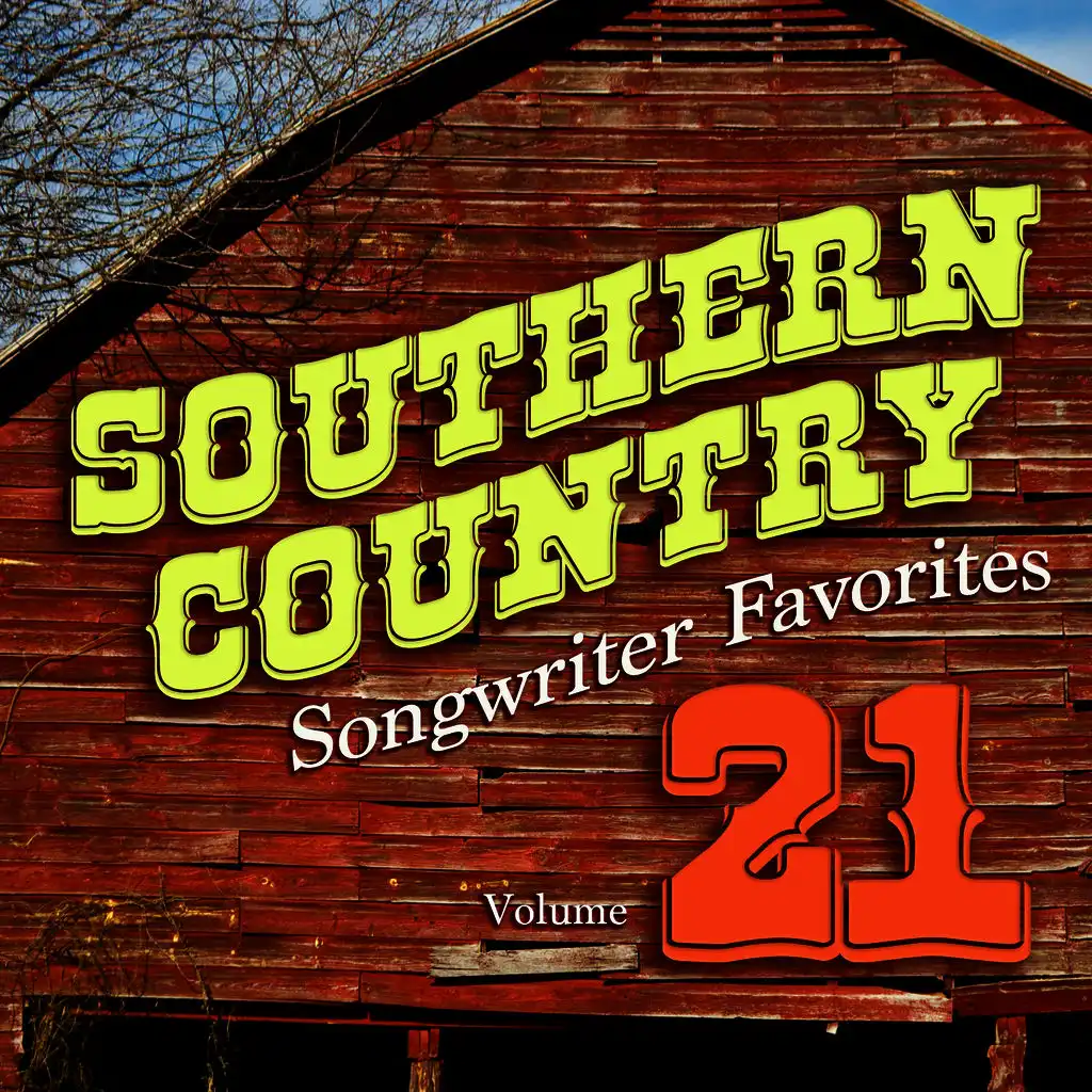 Southern Country Songwriter Favorites, Vol. 21