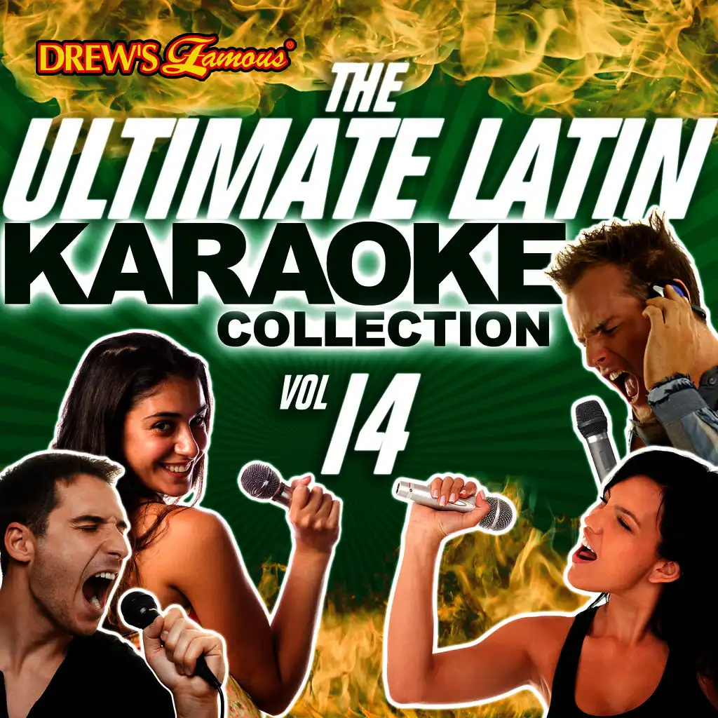 The Ultimate Latin Karaoke Collection, Vol. 14