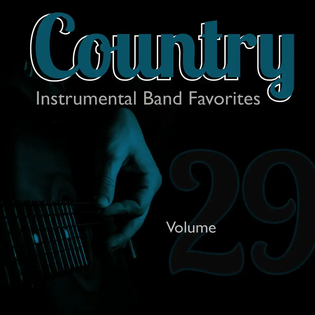 Country Instrumental Band Favorites, Vol. 29