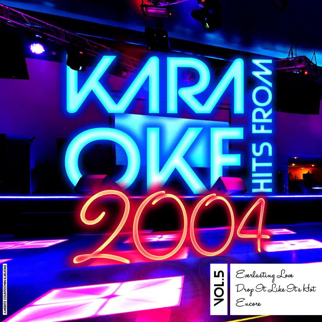 Karaoke Hits from 2004, Vol. 5
