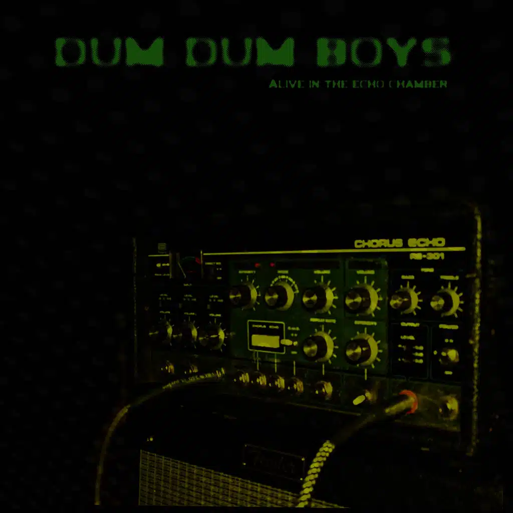 Alive in the Echo Chamber