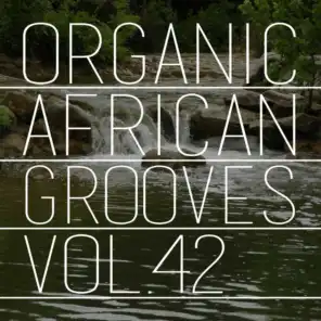 Organic African Grooves, Vol.42