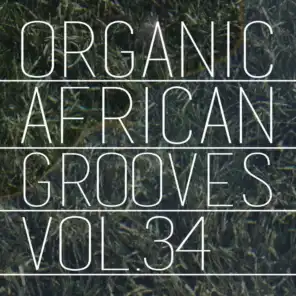 Organic African Grooves, Vol.34