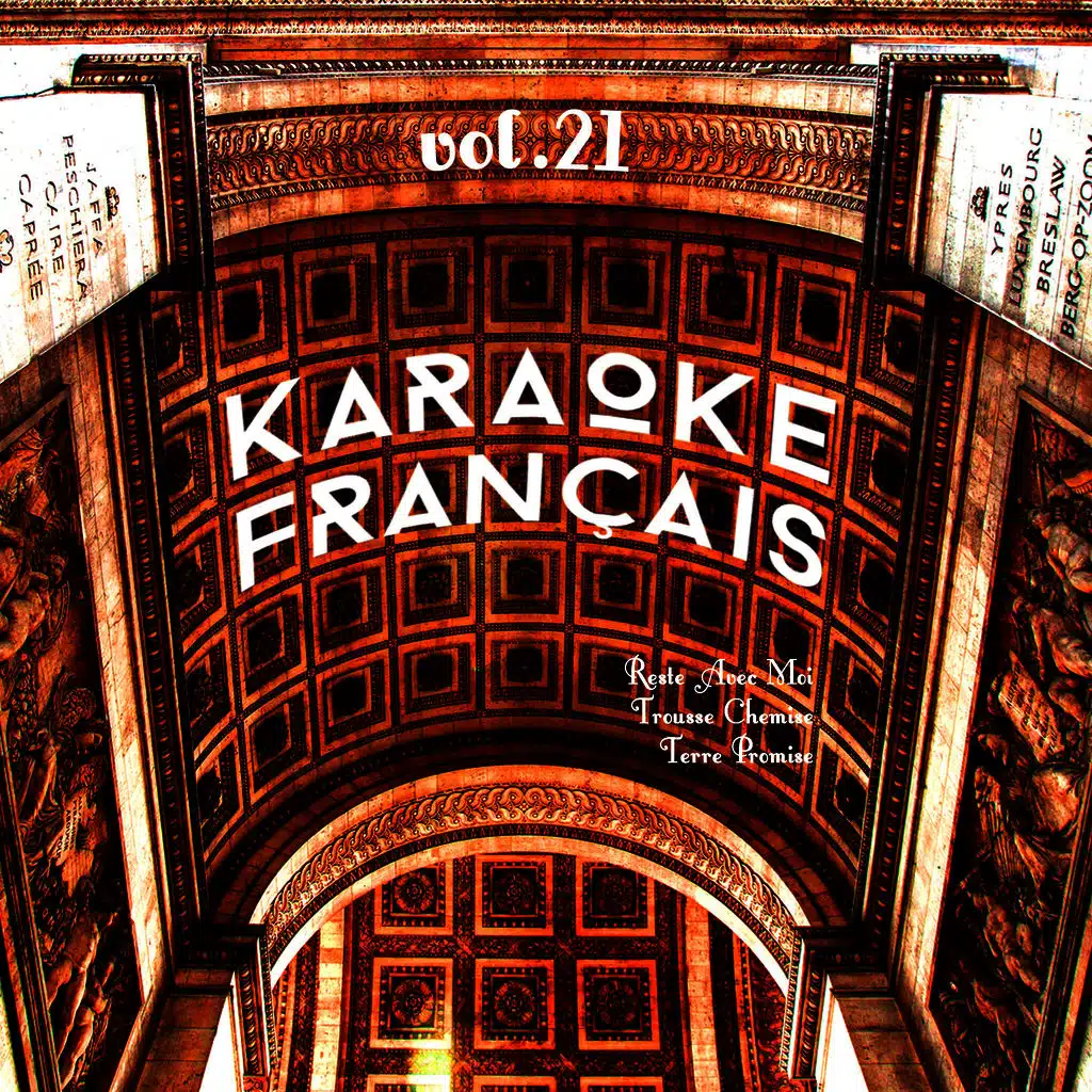 Karaoke - Français, Vol. 21