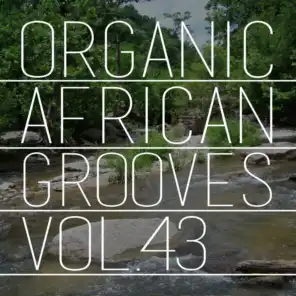 Organic African Grooves, Vol.43