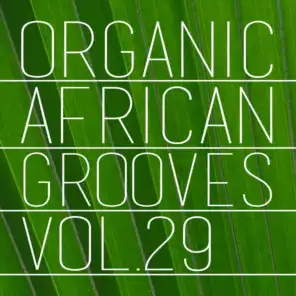 Organic African Grooves, Vol.29