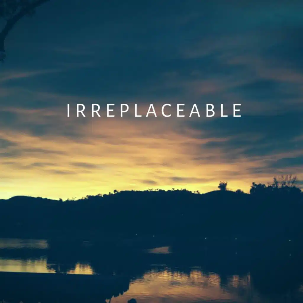 Irreplaceable