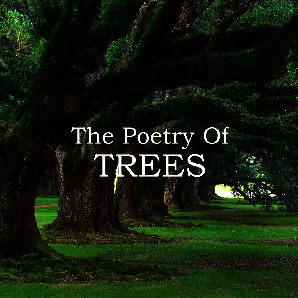 William Makepeace Thackeray - The Mahogany Tree