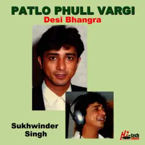 Patlo Phull Vargi