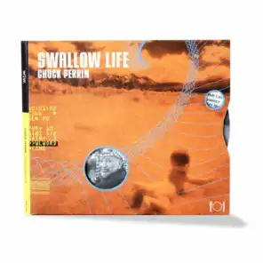 Swallow Life