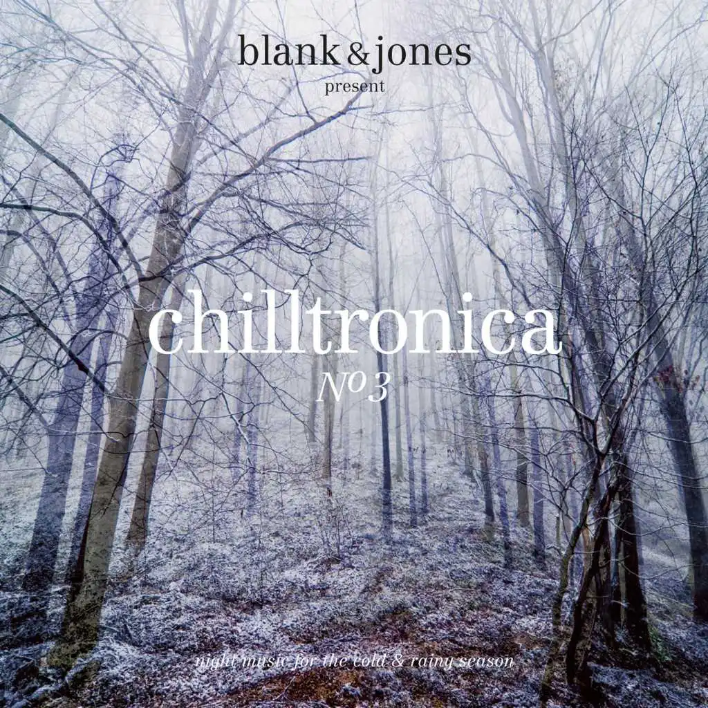 Chilltronica No.3 - Night Music for the Cold & Rainy Season
