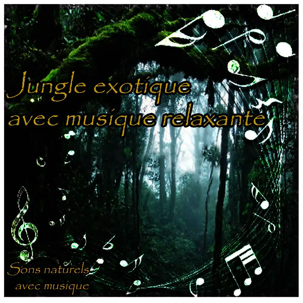 Jungle exotique avec musique relaxante