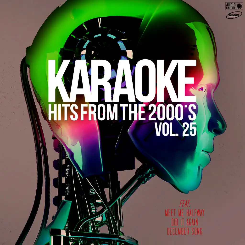 Karaoke Hits from the 2000's, Vol. 25