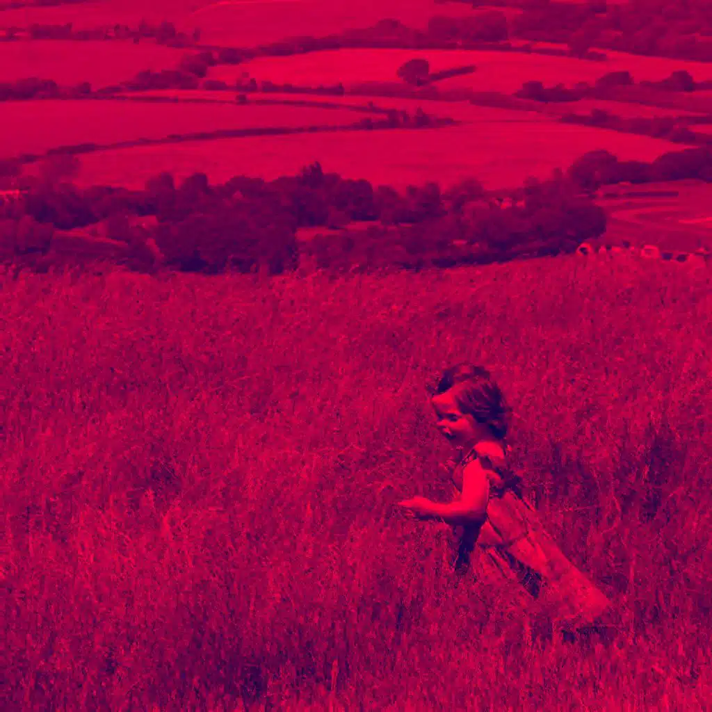 Everywhere Across Whatever Sorrows of Which Our Life Is Woven, Some Radiant Joy Will Gaily Flash Past.