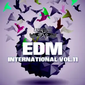 EDM International, Vol. 11