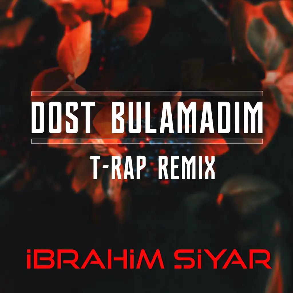 Dost Bulamadım T-Rap Remix