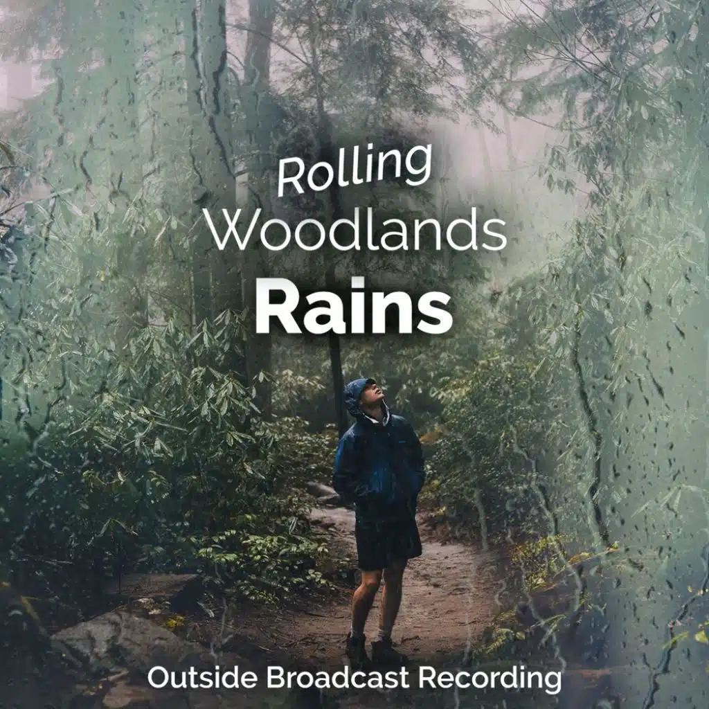 Rolling Woodland Rains