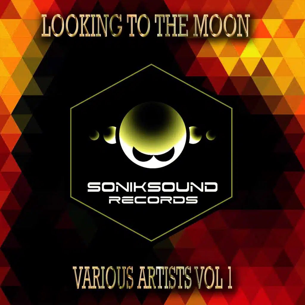 Looking To The Moon