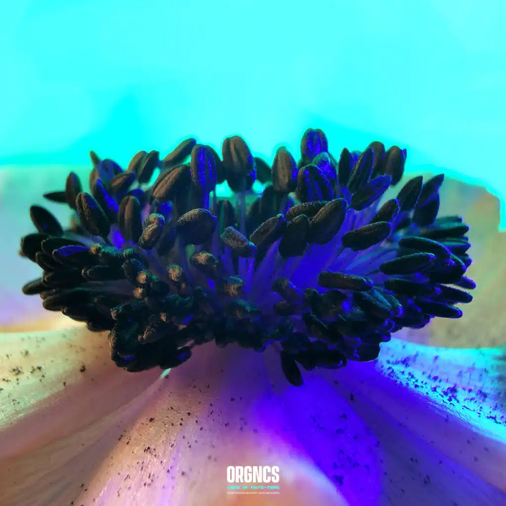 Love in Auto-Tune (feat. MOZΛRT & BIOHZRD)