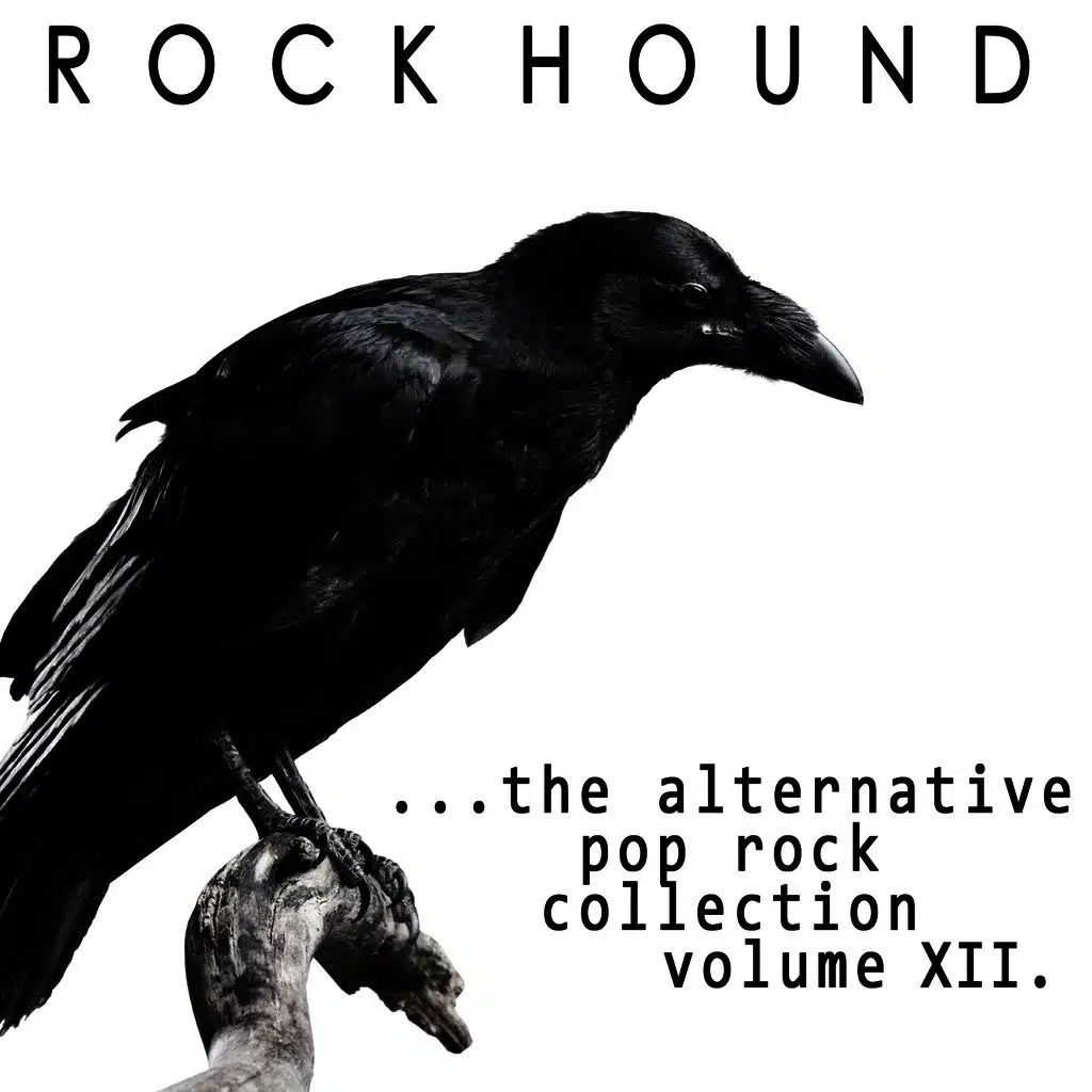 Rock Hound: Alternative Pop Rock, Vol. 12