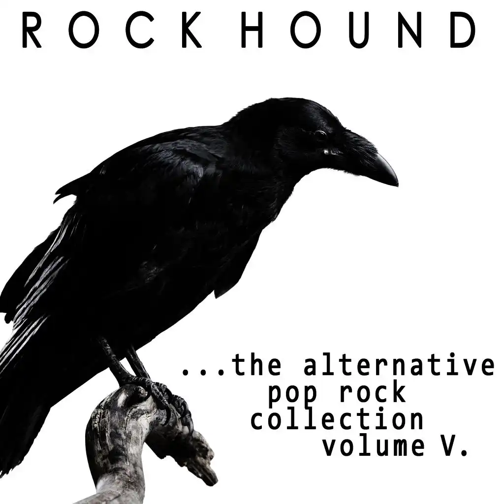 Rock Hound: Alternative Pop Rock, Vol. 5