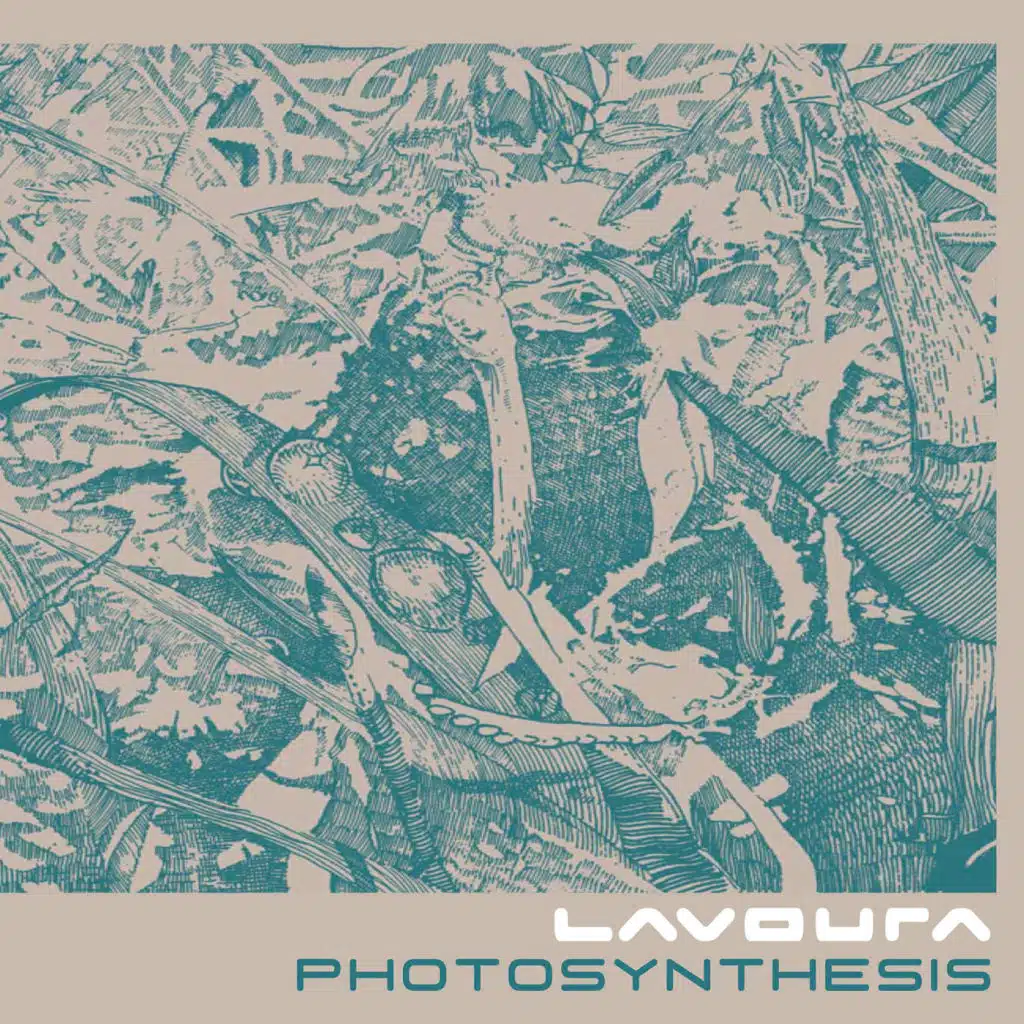 Photosynthesis