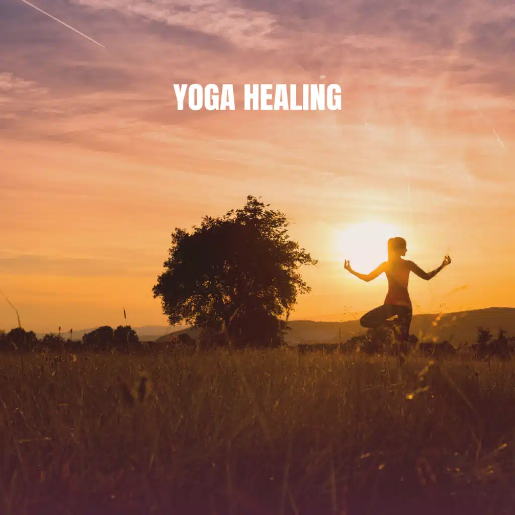 Calm Meditation Sounds