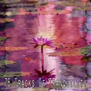 76 Tracks of Tranquility