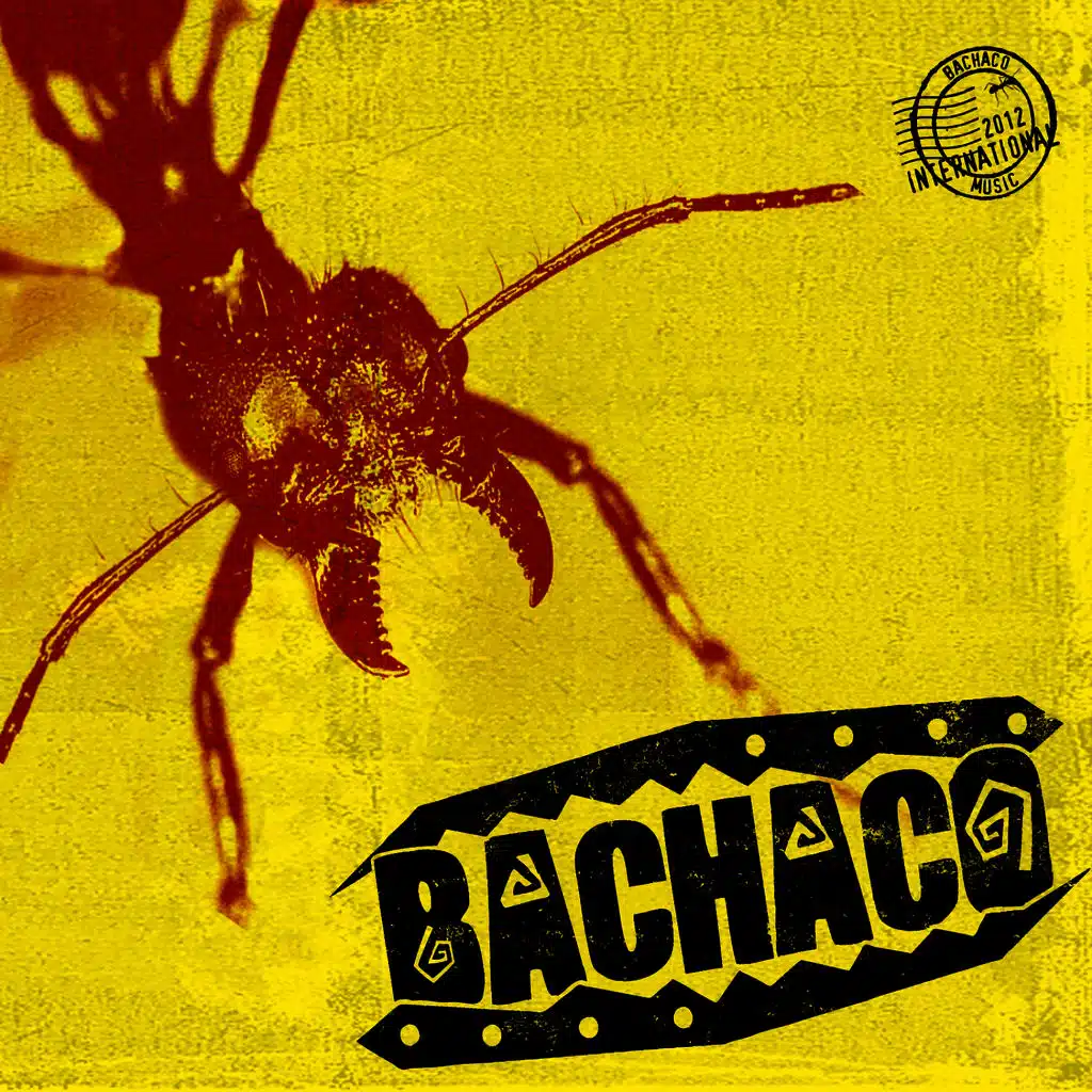 Bachaco