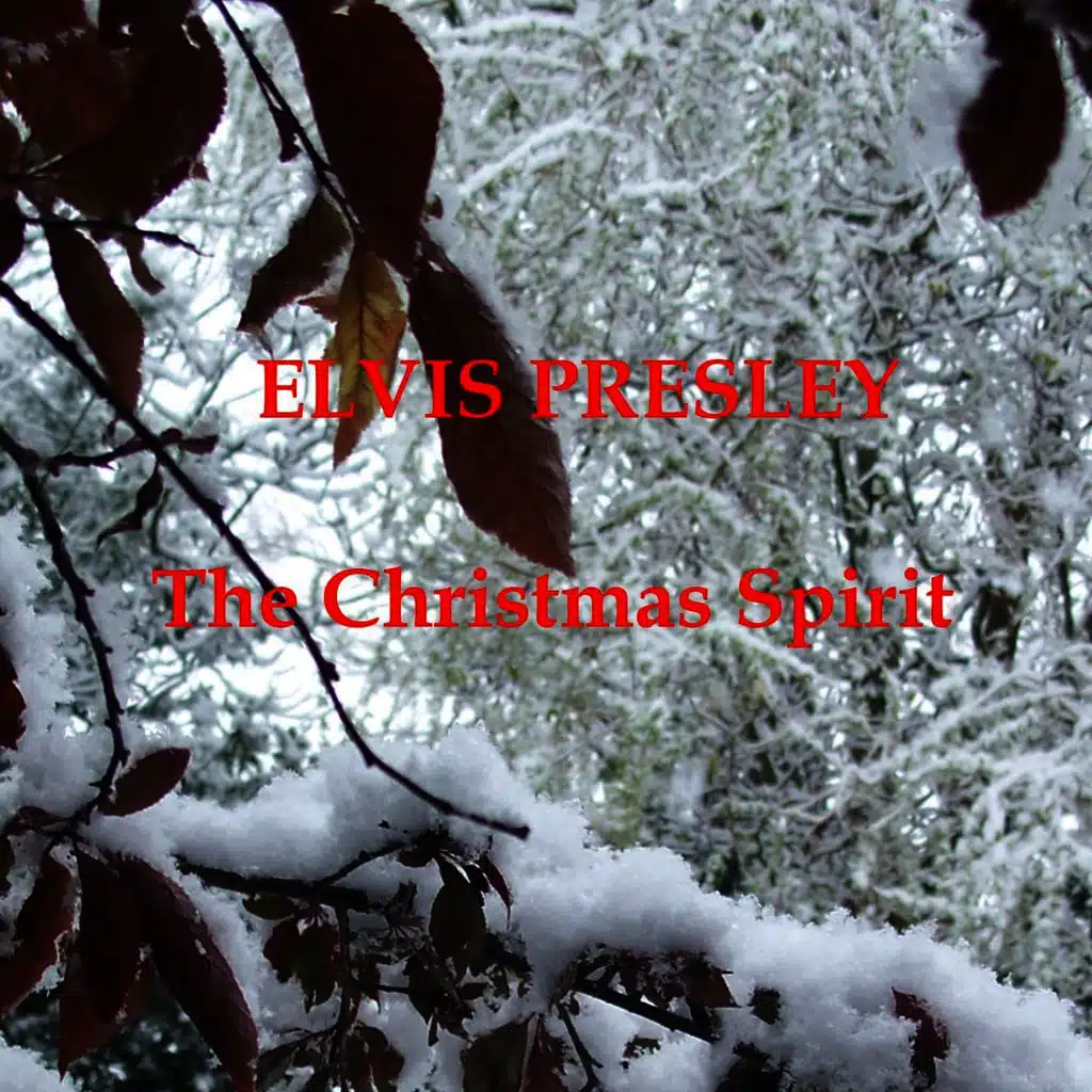 The Christmas Spirit