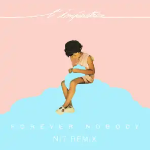 Forever Nobody (nit Remix)