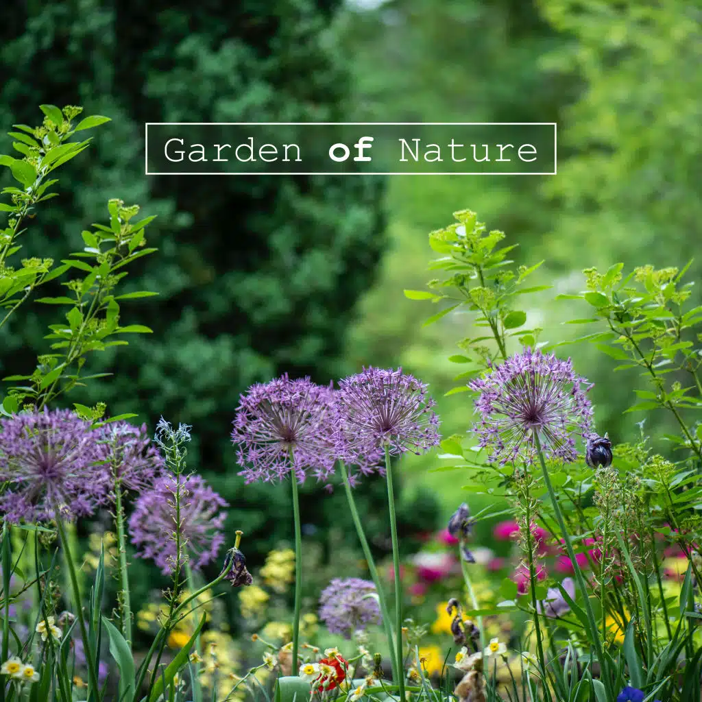 Nature's Lullabies