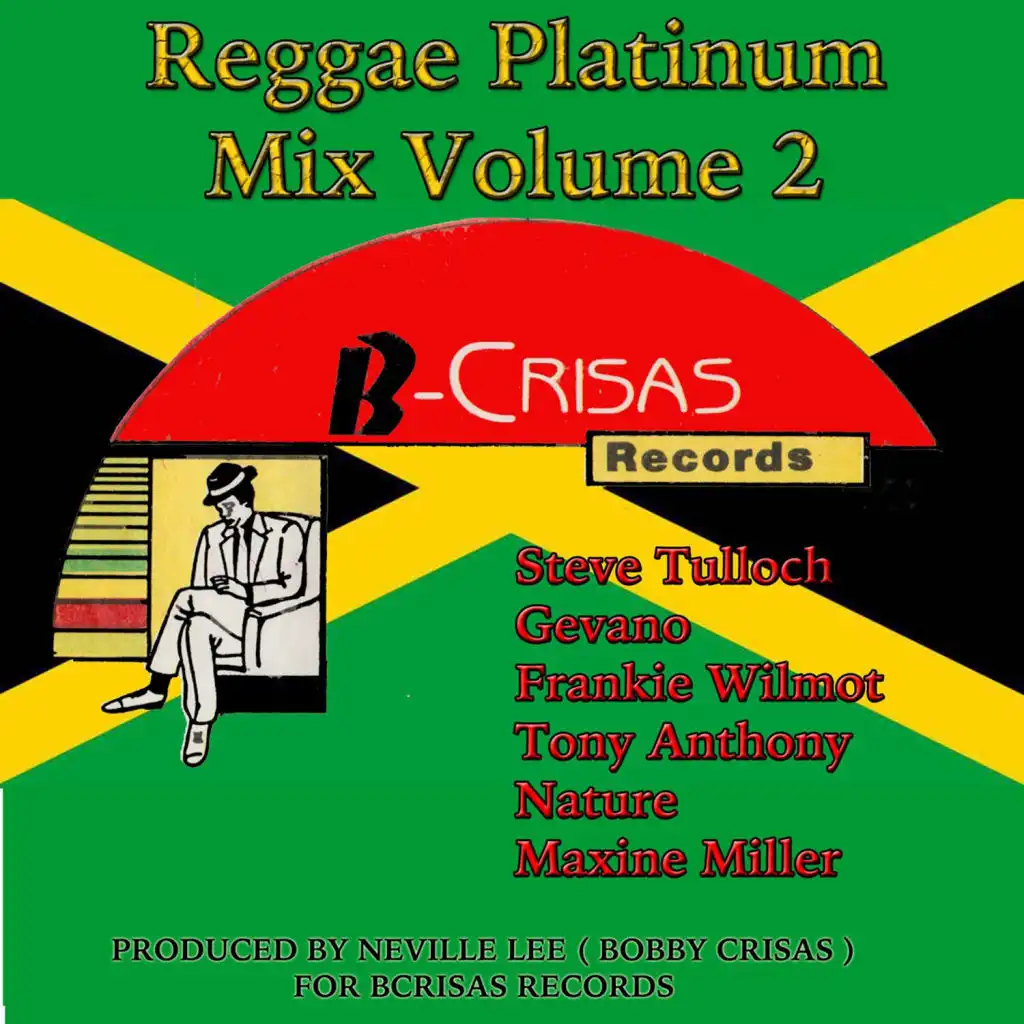 Reggae Platinum Mix, Vol. 2