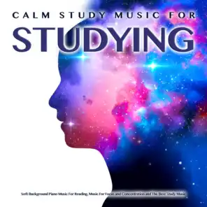 Studying Music To Study By