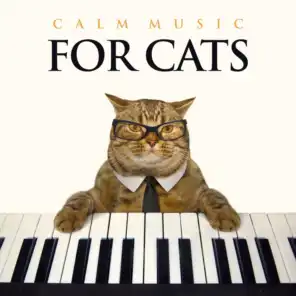 Cat Music, Music For Cats, Music for Pets