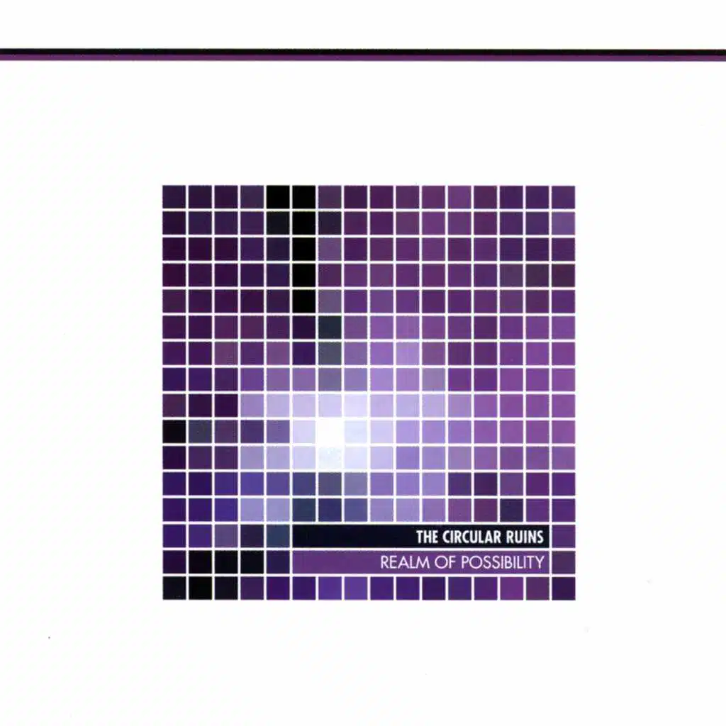 Realm Of Possibility