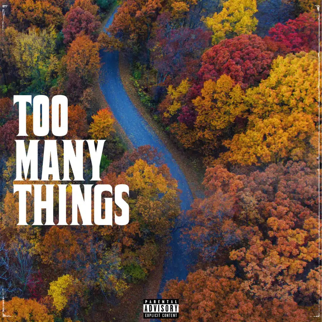Too Many Things