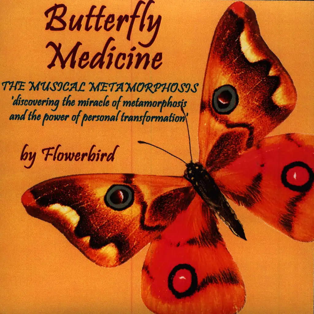 Butterfly Medicine