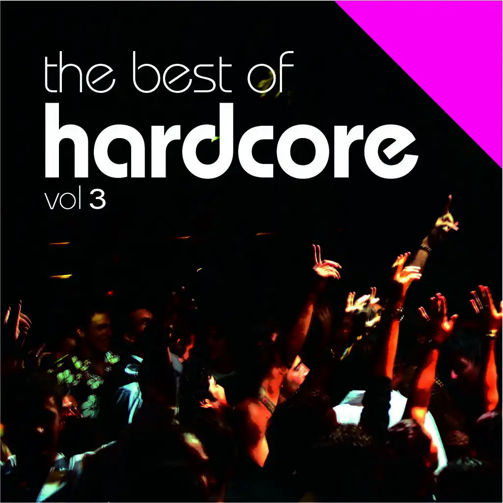 THE BEST OF HARDCORE VOLUME 3