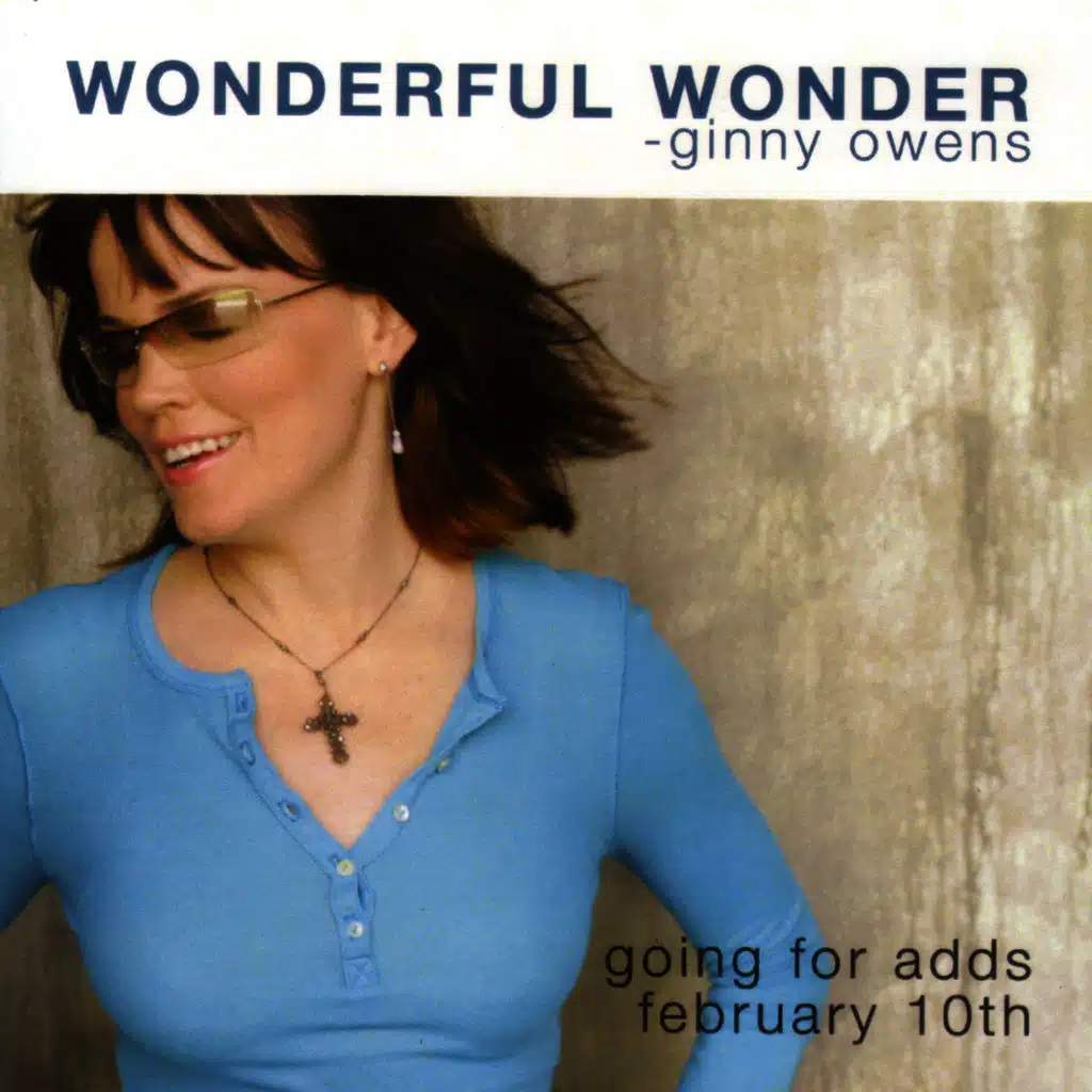 Wonderful Wonder (radio version)